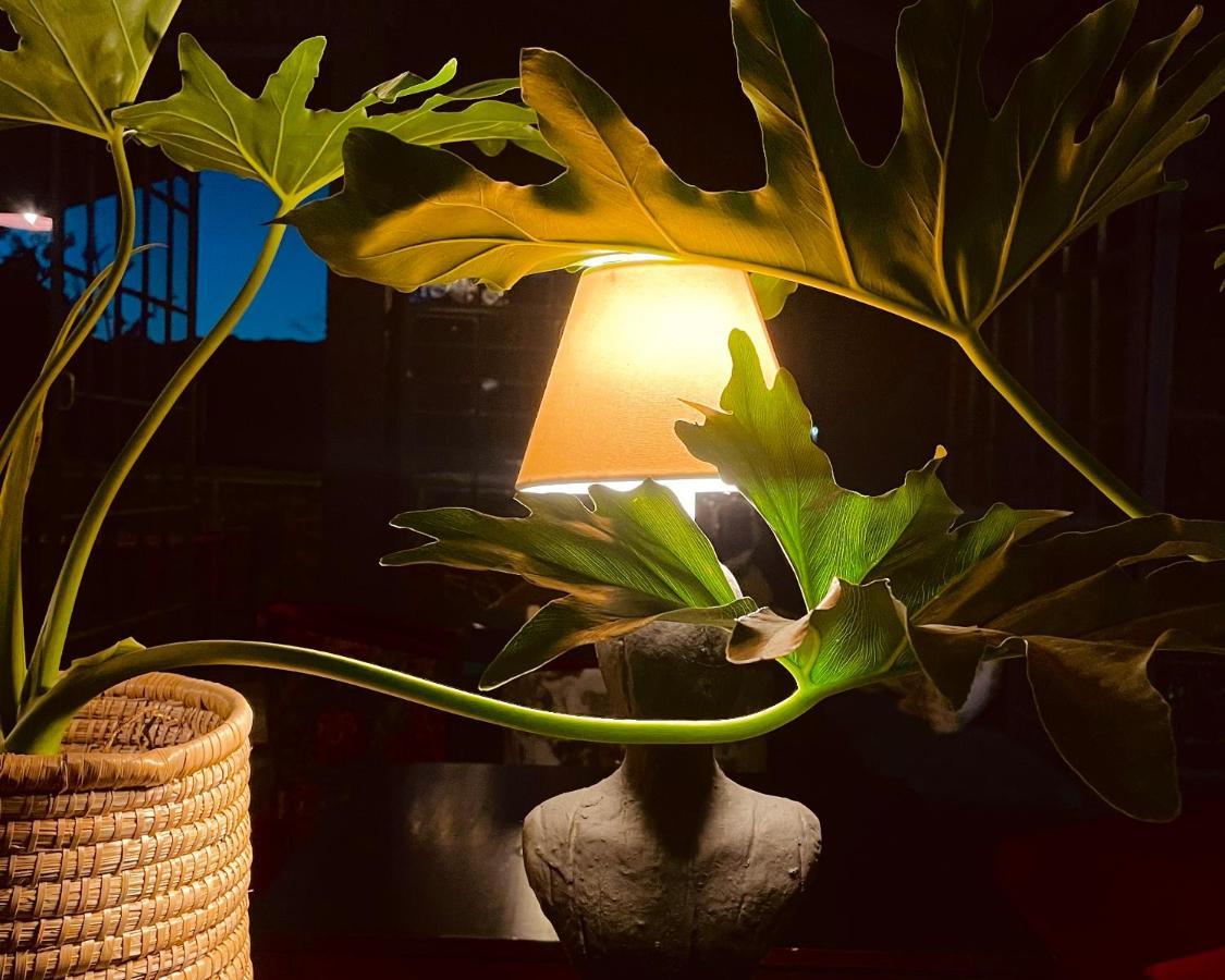 Le Reve Boutique Hotel Tulbagh Zewnętrze zdjęcie