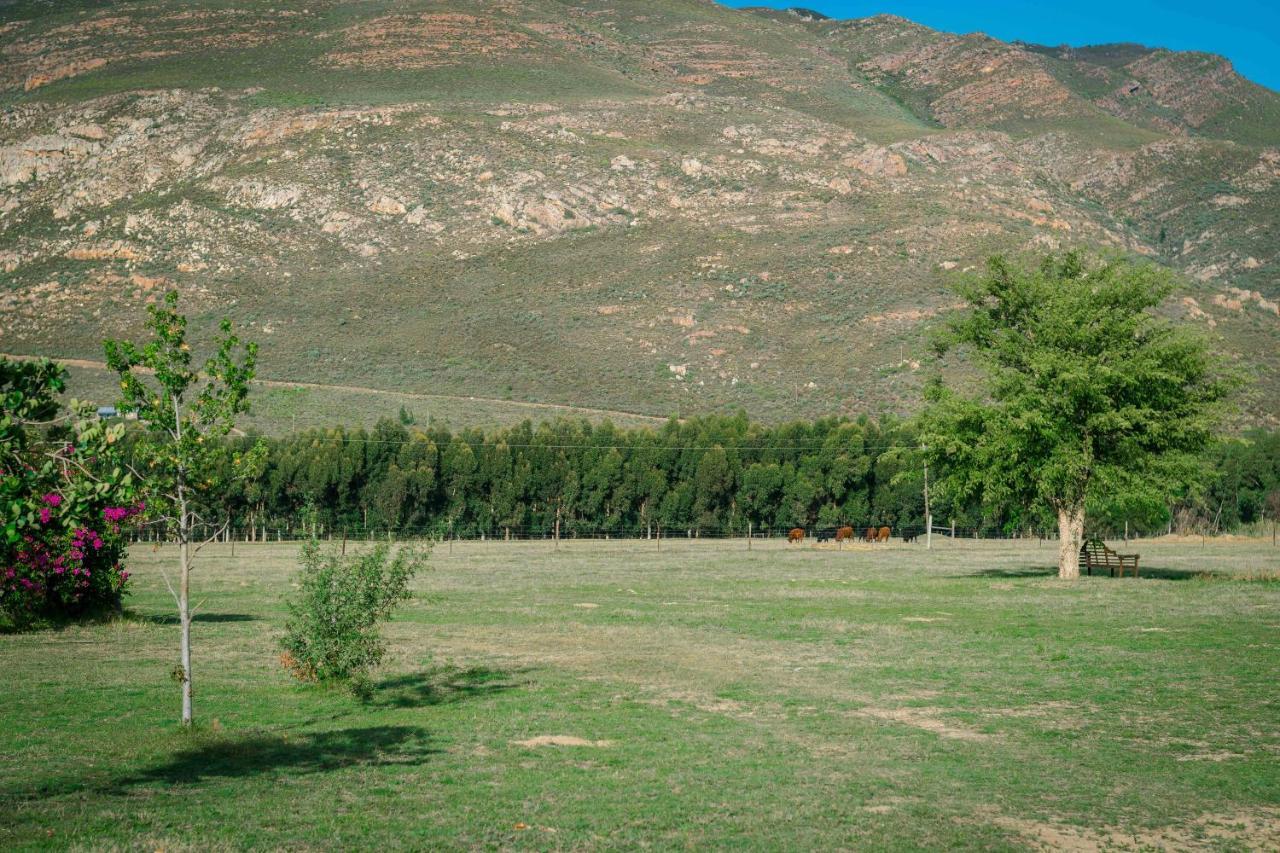 Le Reve Boutique Hotel Tulbagh Zewnętrze zdjęcie