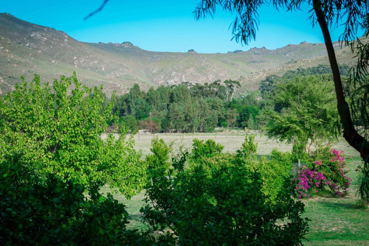 Le Reve Boutique Hotel Tulbagh Zewnętrze zdjęcie